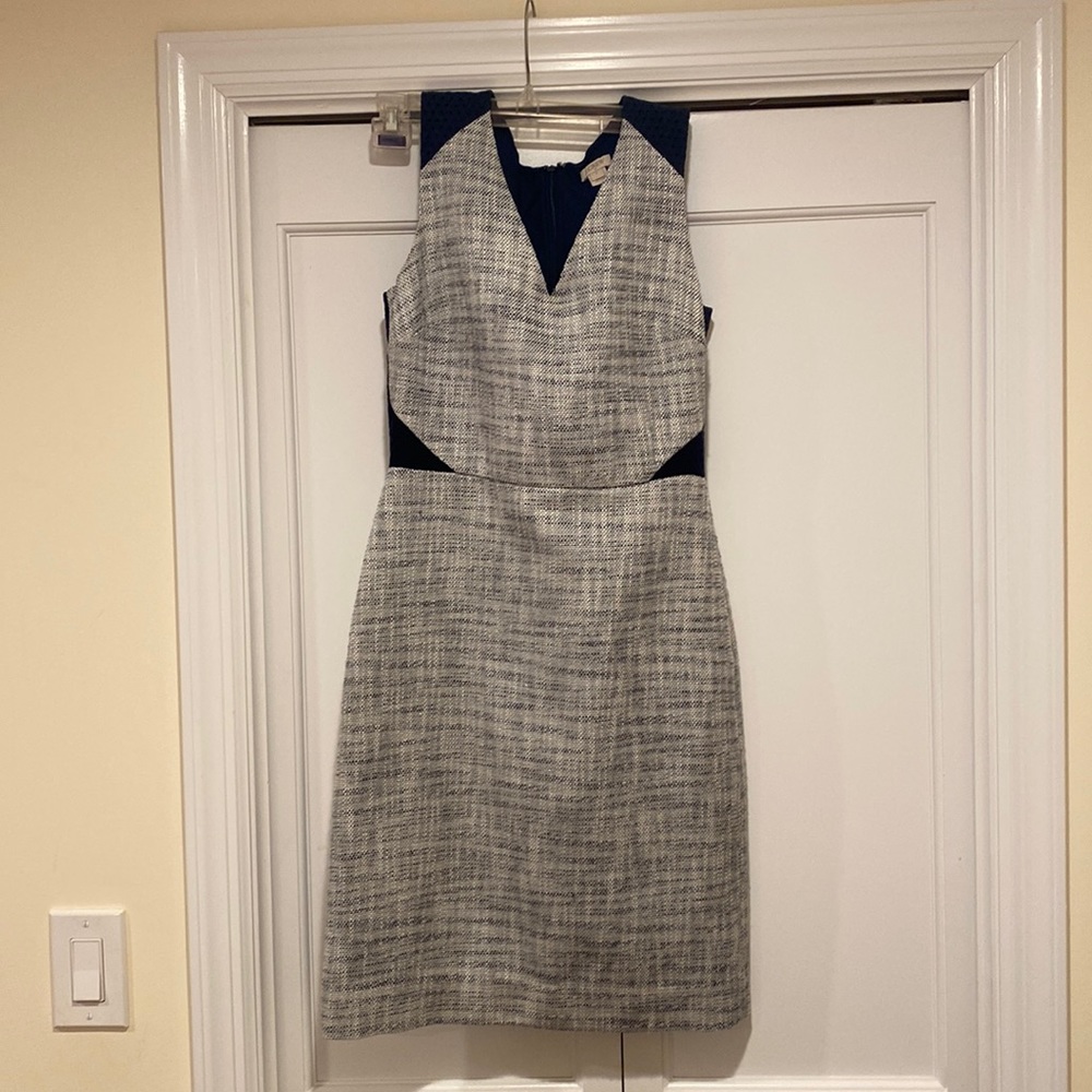 J Crew dress